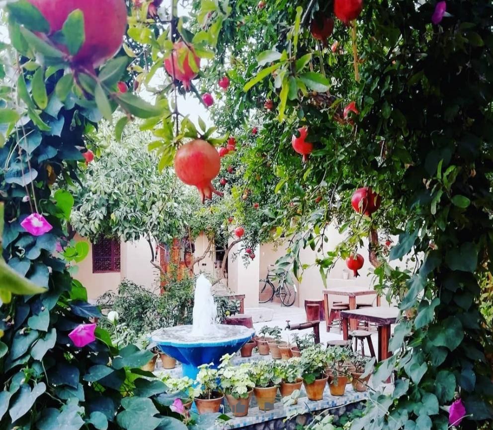 اجاره اقامتگاه بوم گردی نارستان در ارسنجان