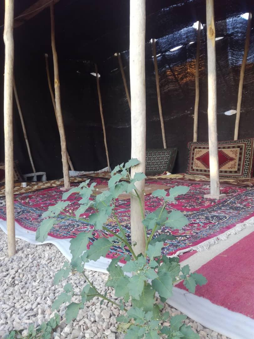 رزرو اقامتگاه بوم گردی سیمکان بوانات