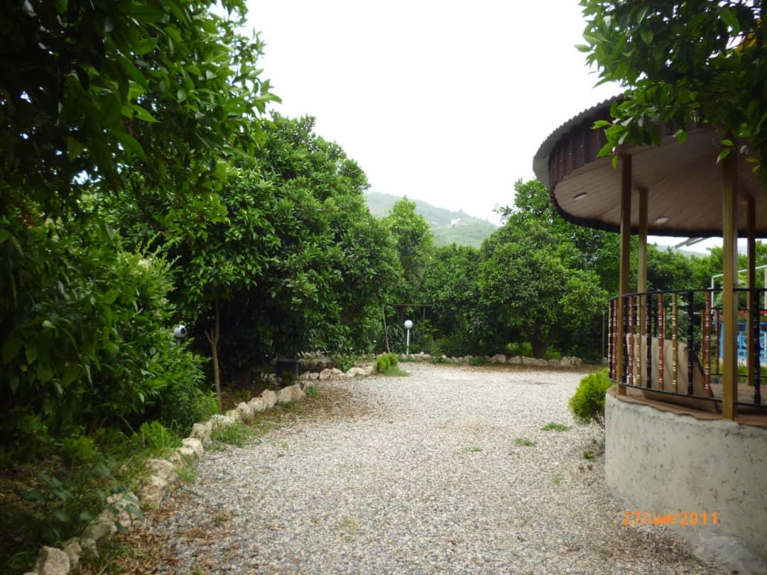 اجاره روزانه ویلای جنگلی در کتالم