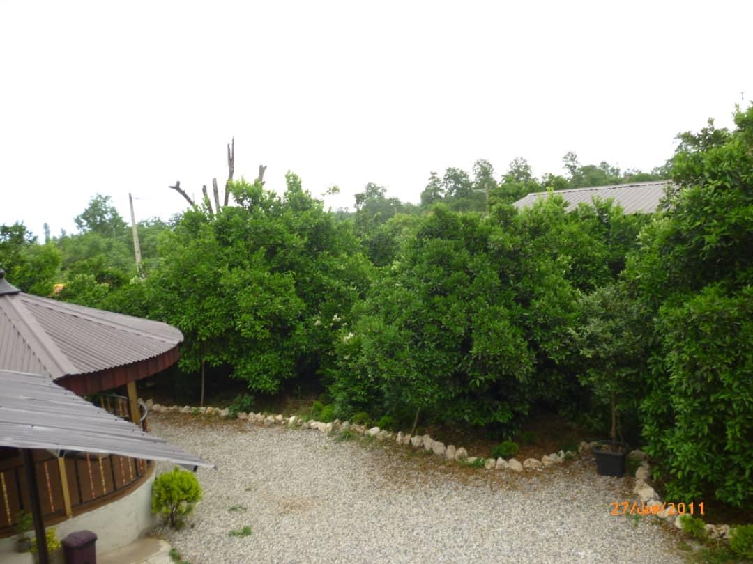 اجاره روزانه ویلای جنگلی در کتالم