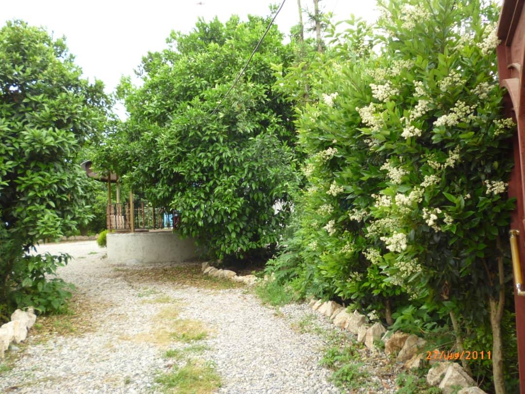 اجاره روزانه ویلای جنگلی در کتالم