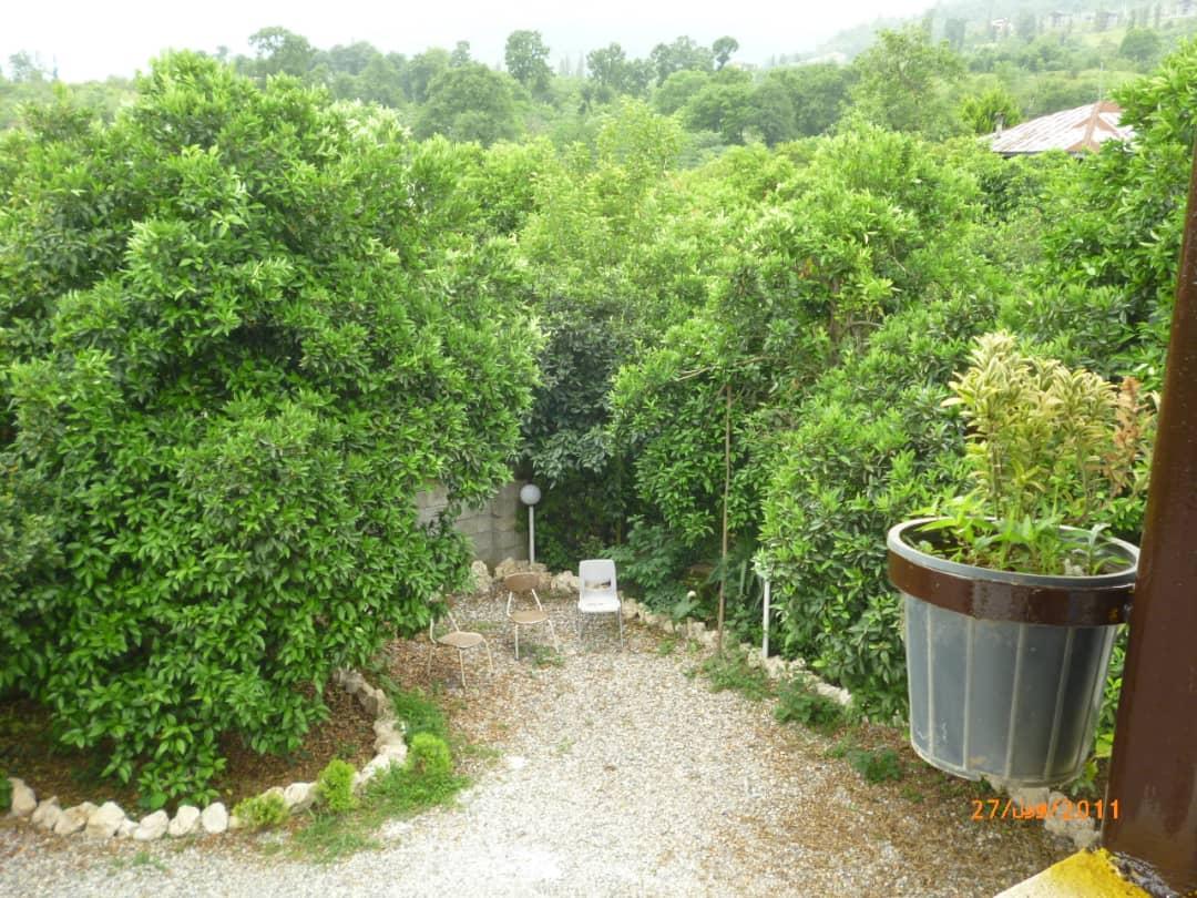 اجاره روزانه ویلای جنگلی در کتالم