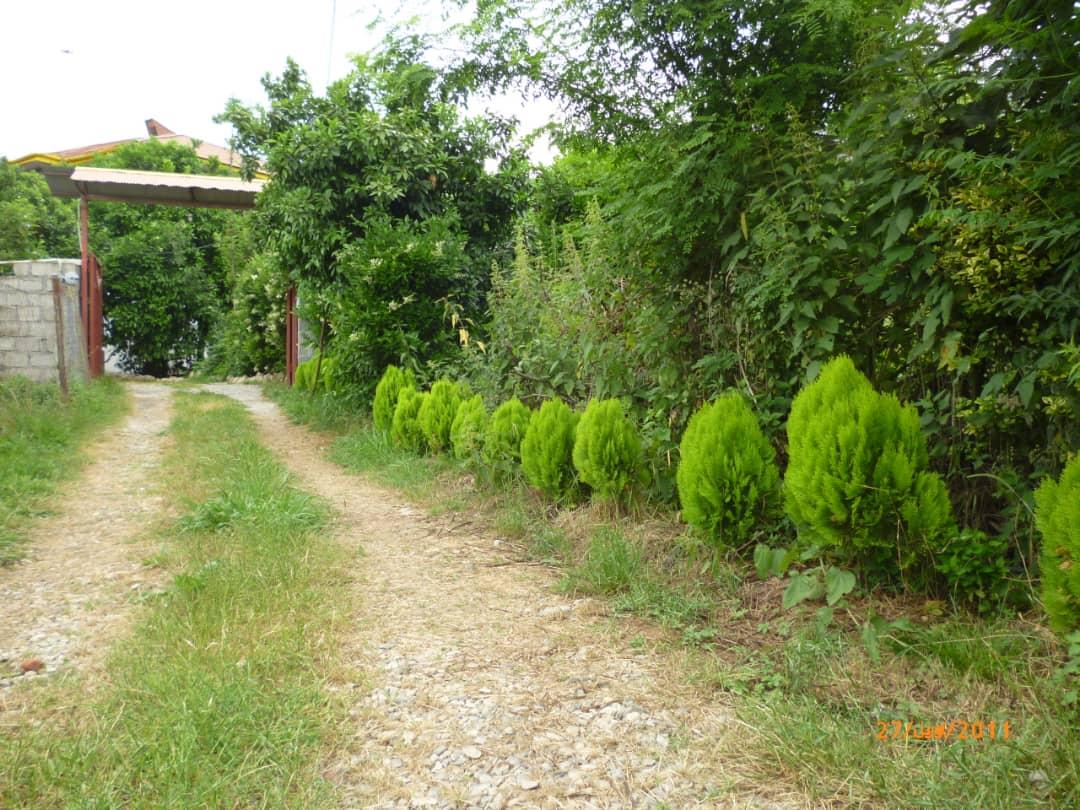 اجاره روزانه ویلای جنگلی در کتالم