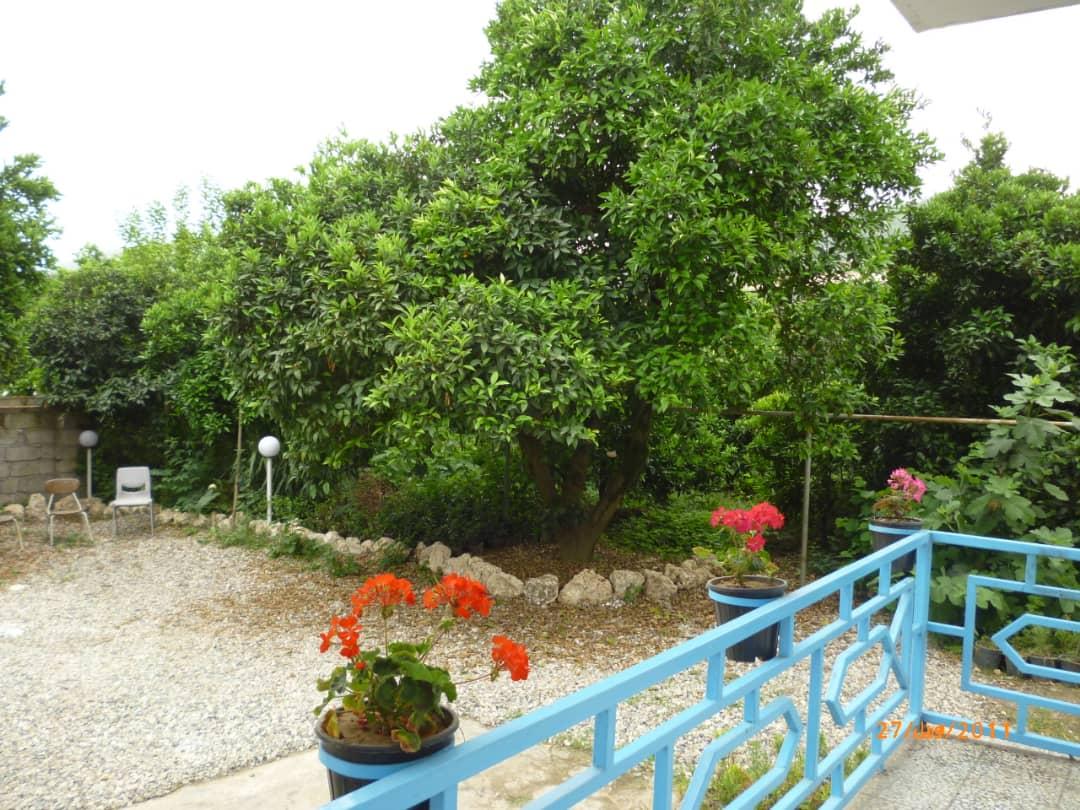 اجاره روزانه ویلای جنگلی در کتالم