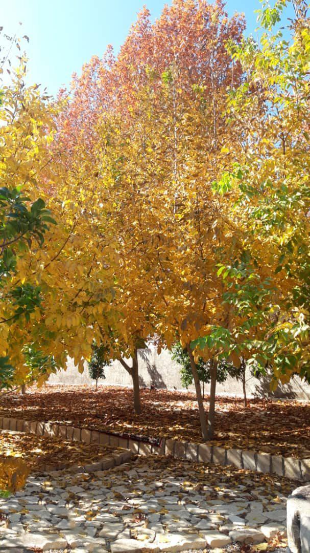 اجاره اقامتگاه بوم گردی السون در فیروزآباد