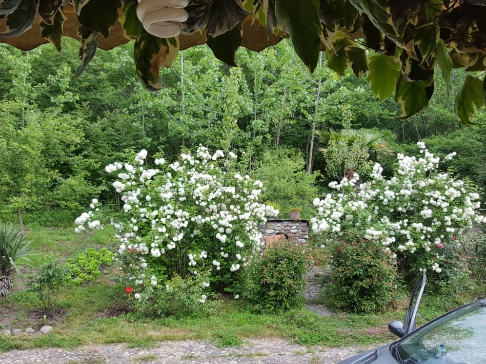 اجاره ویلا در منطقه آزاد گردشگری کاسپین