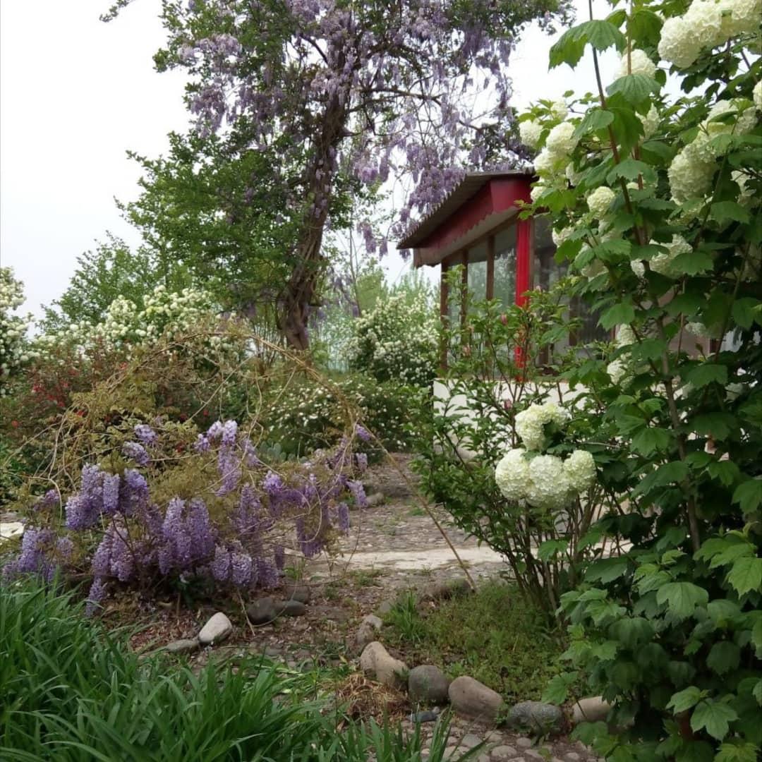 اجاره ویلا در منطقه آزاد گردشگری کاسپین