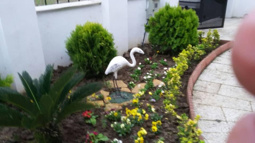 اجاره ویلا استخردار سه خوابه در سرخرود