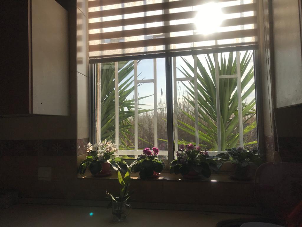 ویلا اجاره ای روزانه در محمود آباد