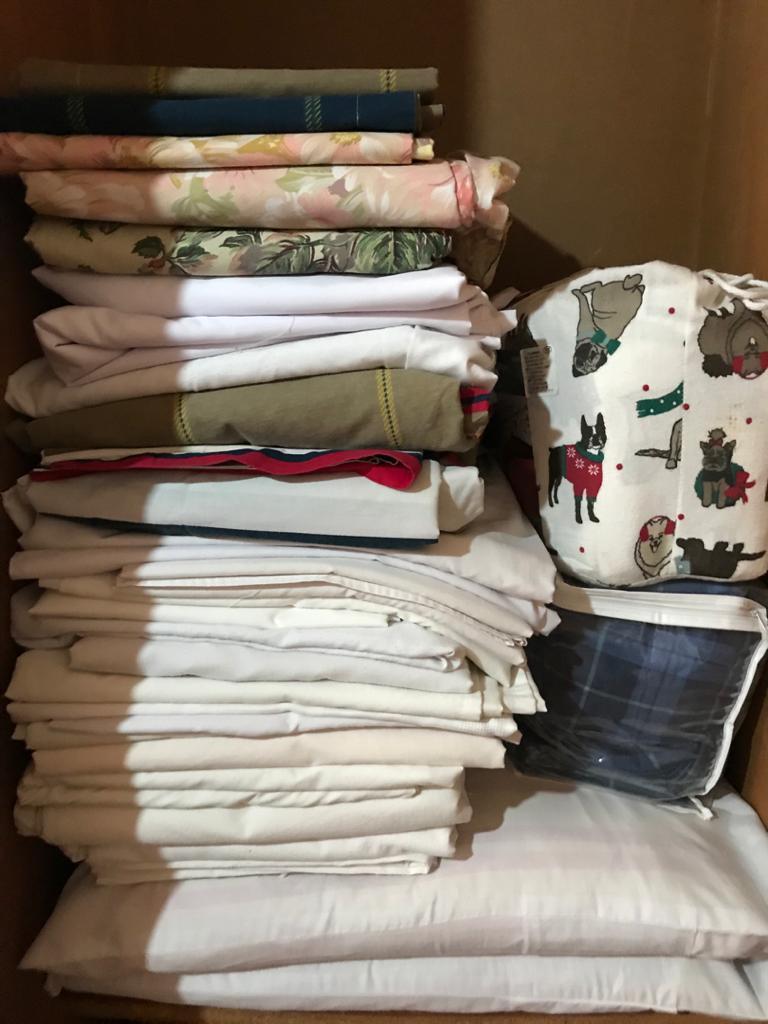 ویلا اجاره ای روزانه در محمود آباد