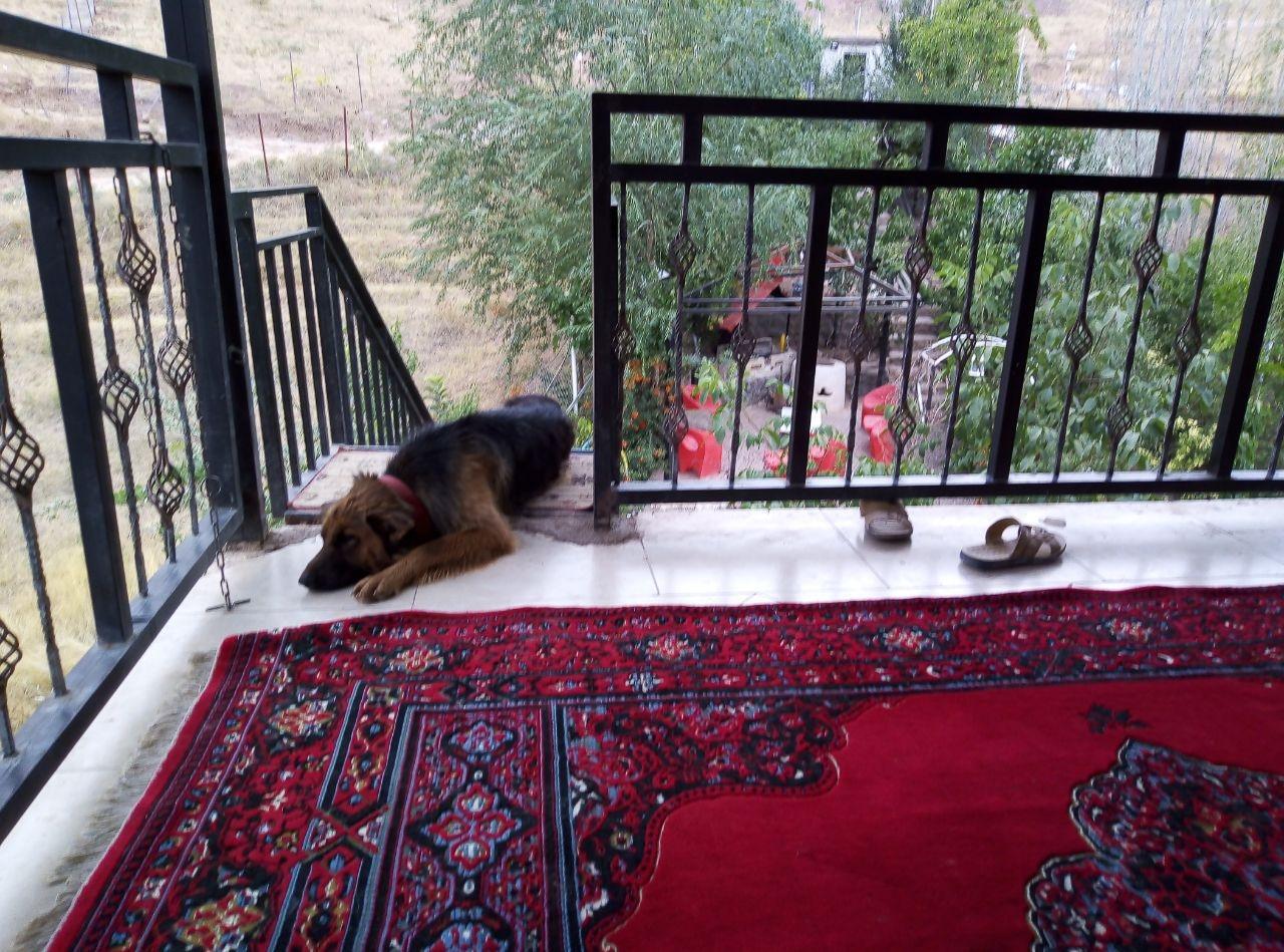 اجاره ویلا اپارتمان با دو بالکن ویودار طالقان