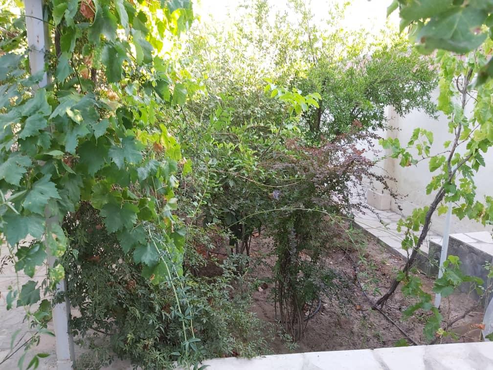 اجاره ویلا در کوهپایه کرمان