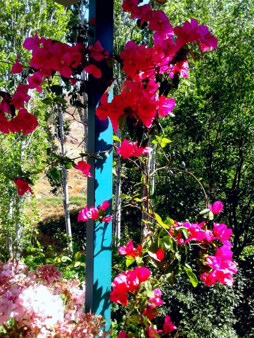 اجاره اقامتگاه بوم گردی آنیل جلفا