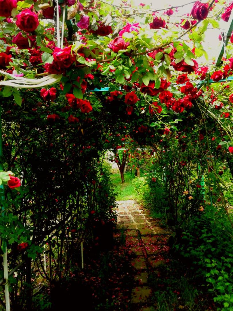 اجاره اقامتگاه بوم گردی آنیل جلفا