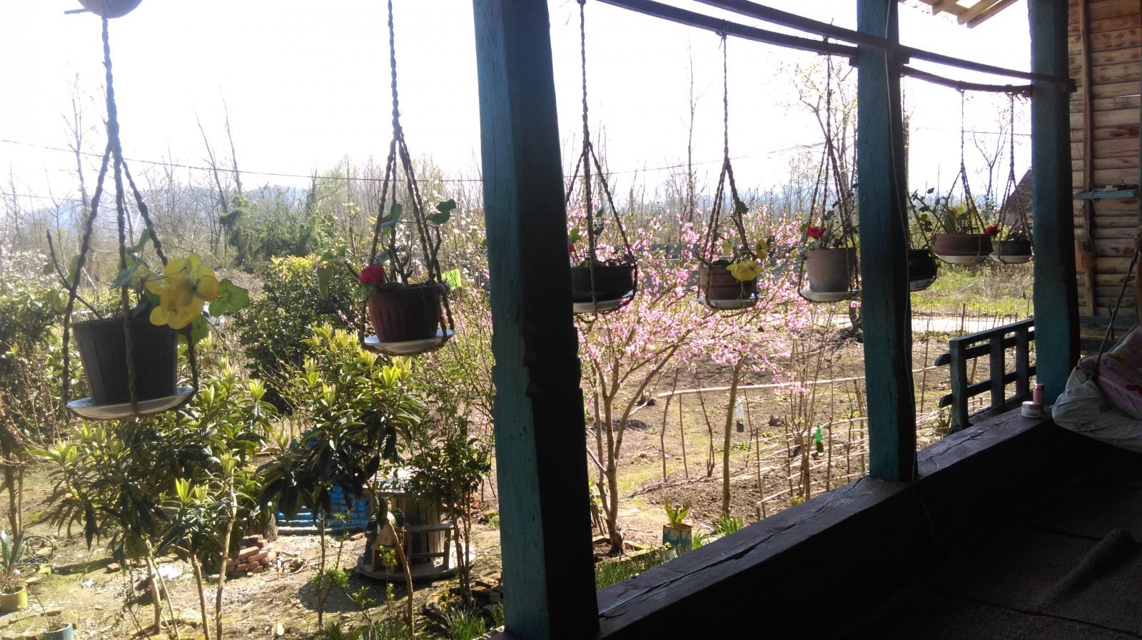 اجاره اقامتگاه بوم گردی حاج علی لاهیجان