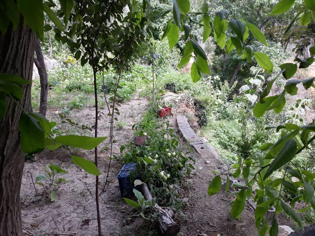 اجاره خانه ویلایی در روستای ورده