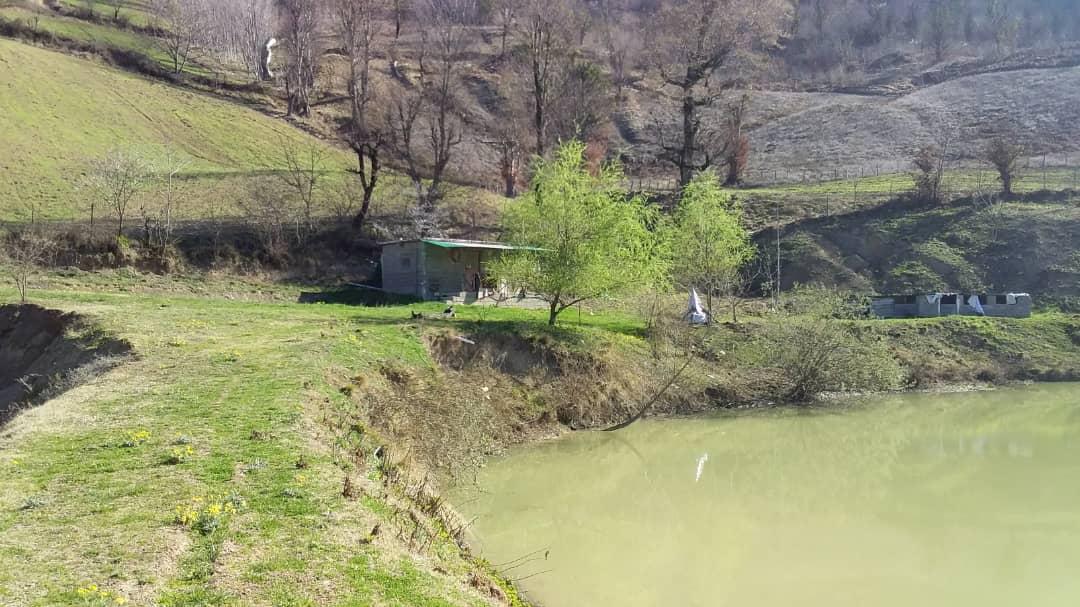 اجاره کلبه جنگلی لب آب در روستای نکا