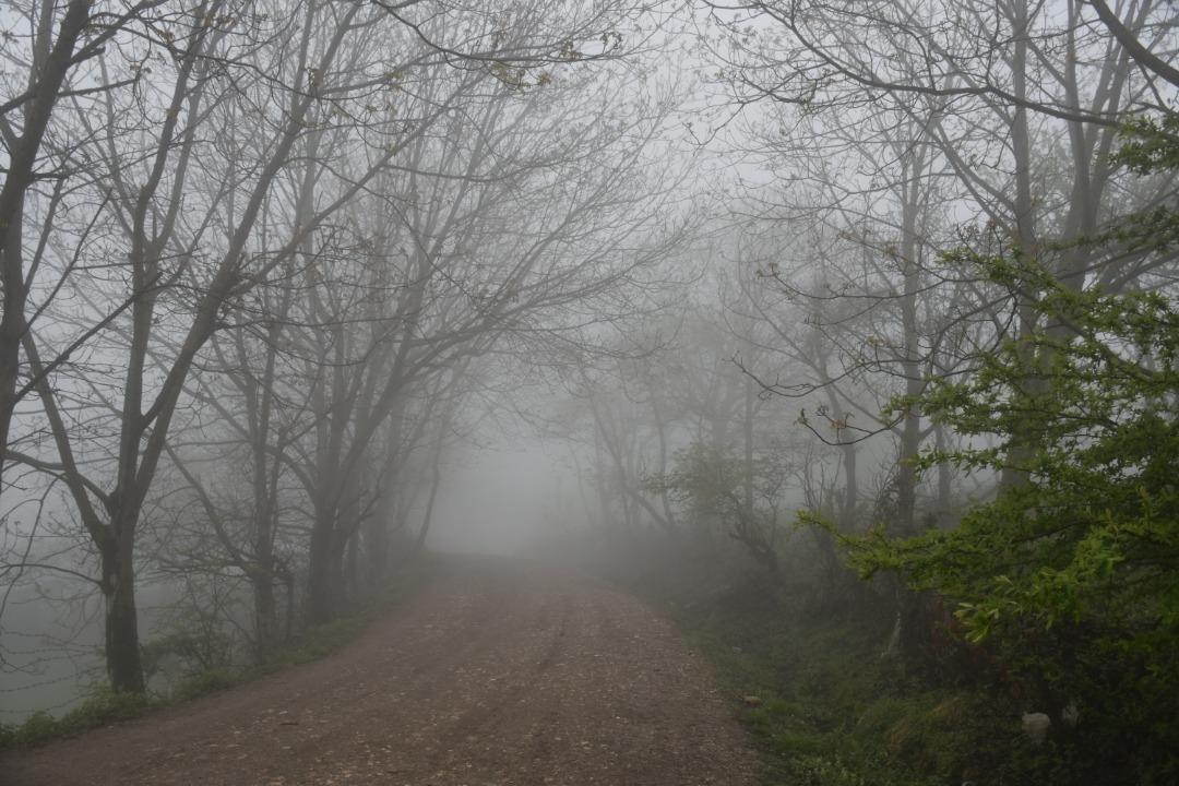 اجاره کلبه جنگلی لب آب در روستای نکا