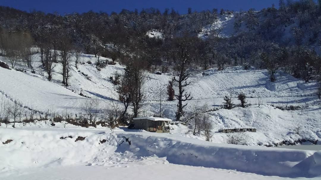 اجاره کلبه جنگلی لب آب در روستای نکا