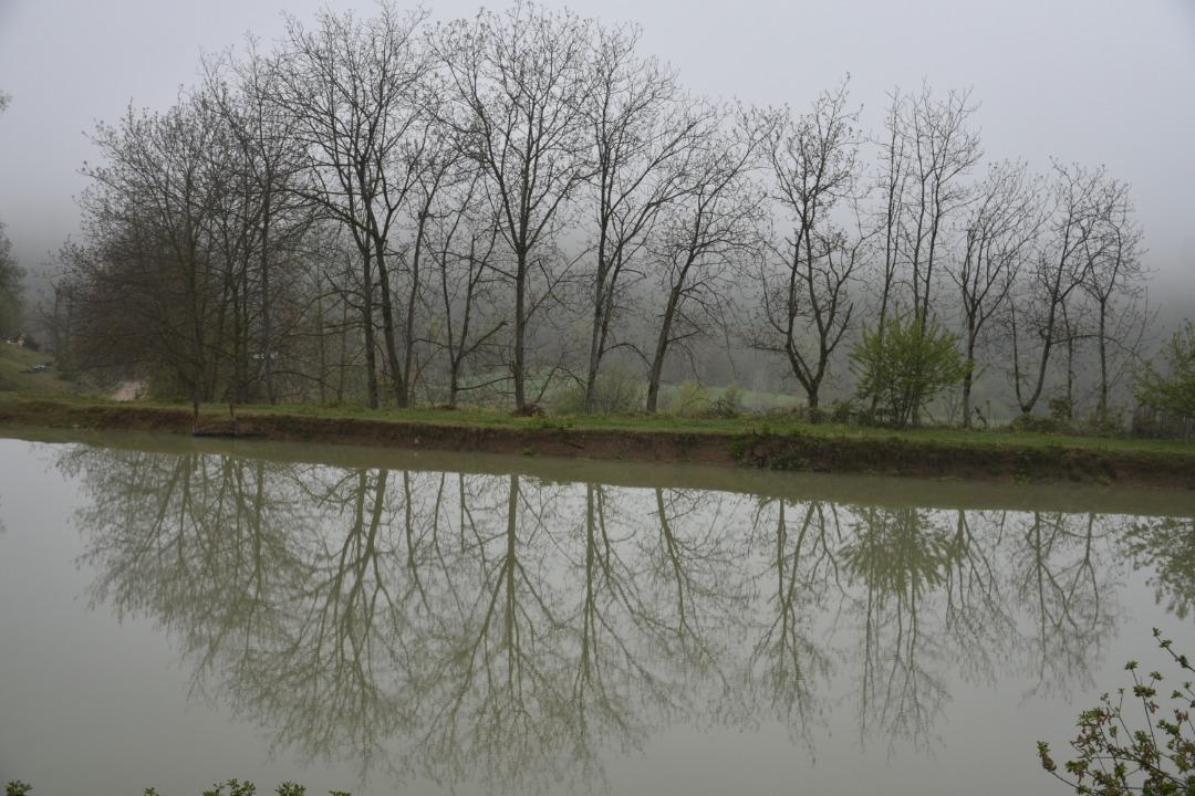 اجاره کلبه جنگلی لب آب در روستای نکا