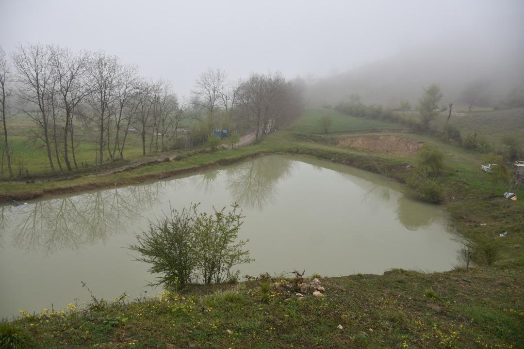 اجاره کلبه جنگلی لب آب در روستای نکا