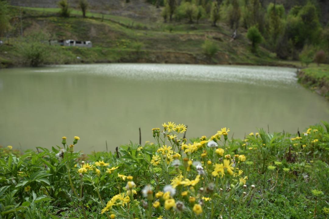 اجاره کلبه جنگلی لب آب در روستای نکا