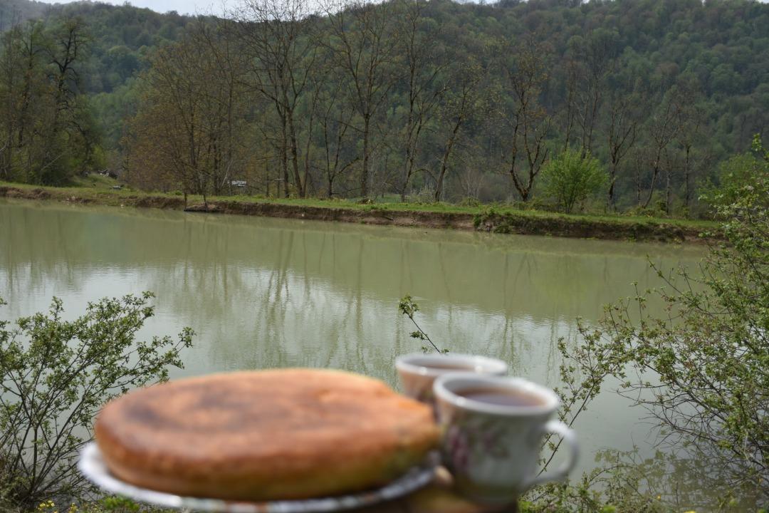 اجاره کلبه جنگلی لب آب در روستای نکا