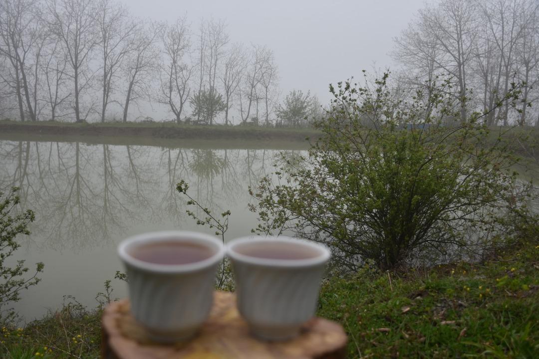 اجاره کلبه جنگلی لب آب در روستای نکا