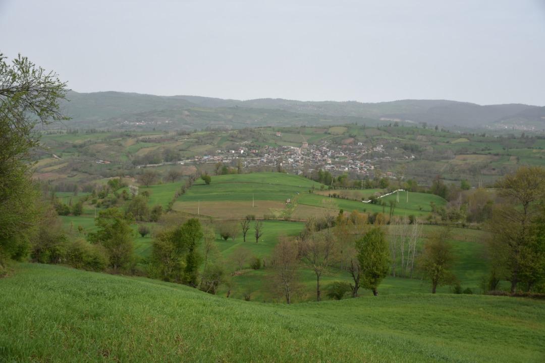 اجاره کلبه جنگلی لب آب در روستای نکا