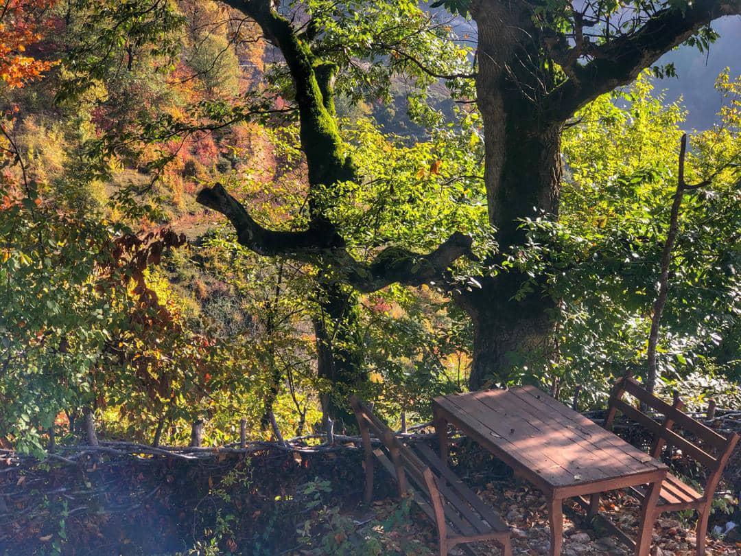 ویلای جنگلی چسبیده به دریاچه سد اقامتگاه وارش