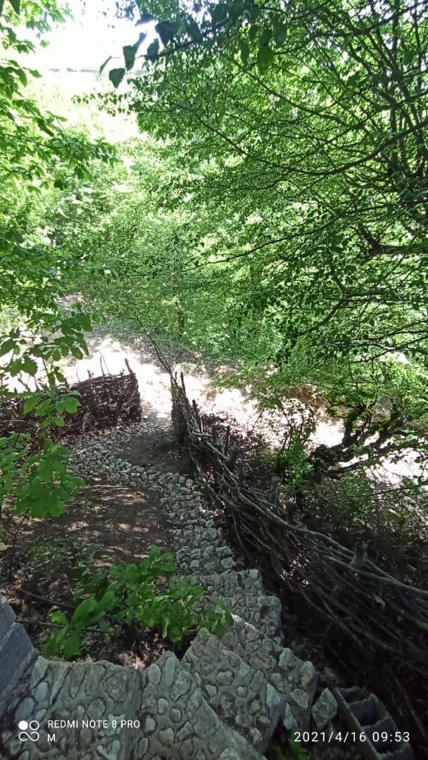 ویلای جنگلی چسبیده به دریاچه سد اقامتگاه وارش