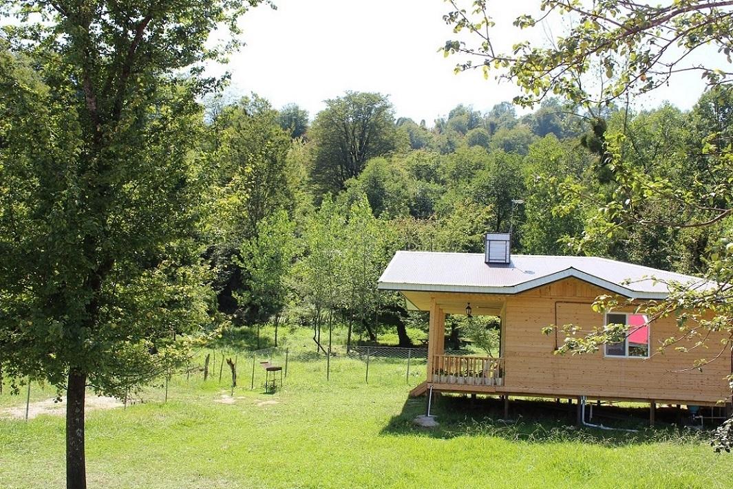 اجاره کلبه جنگلی در دل جنگل ماسال