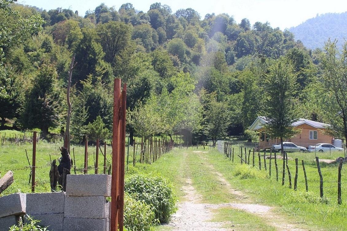 اجاره کلبه جنگلی در دل جنگل ماسال