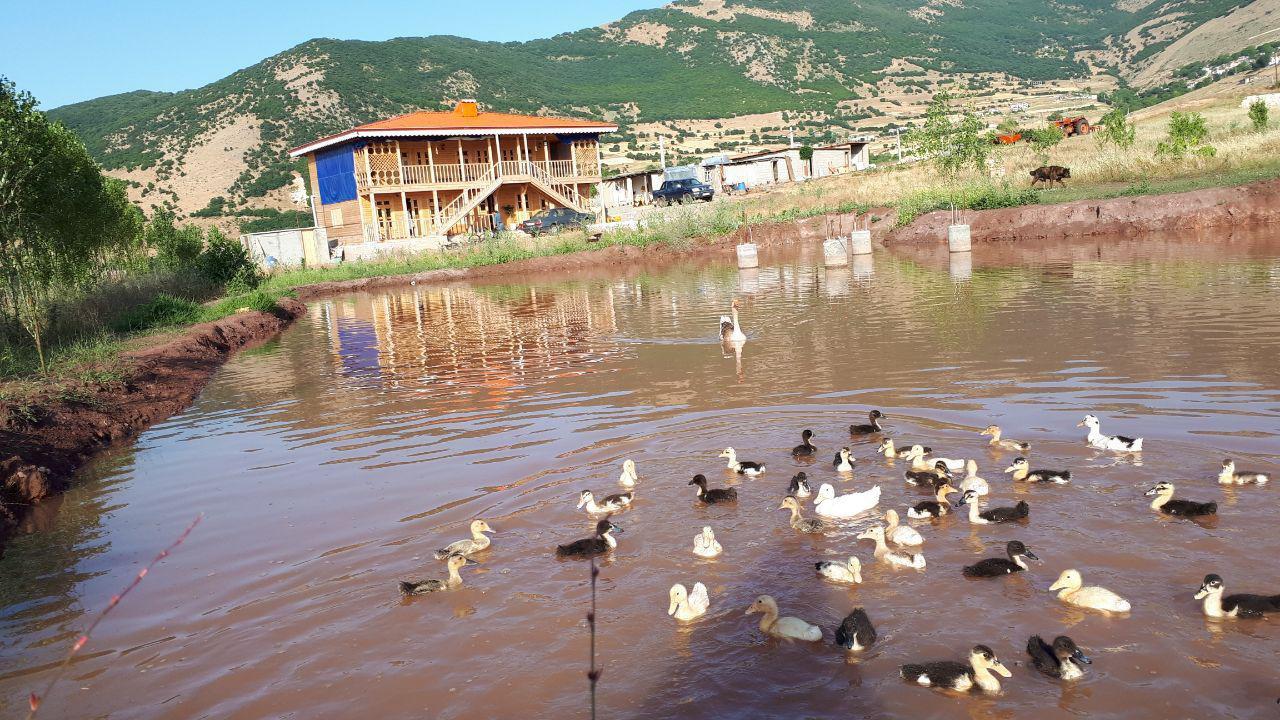 اقامتگاه روستایی خرم پشته در رودبار