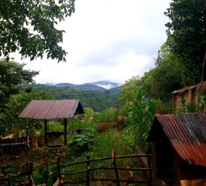 اقامتگاه بوم گردی پلنگ تله در سوادکوه