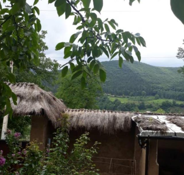 اقامتگاه بوم گردی پلنگ تله در سوادکوه