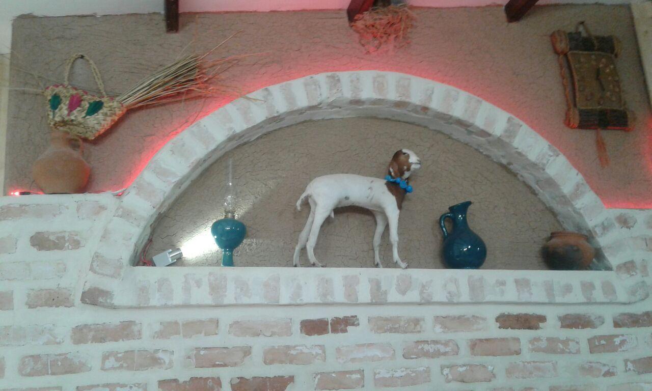 اجاره خانه ویلایی در فریدون کنار