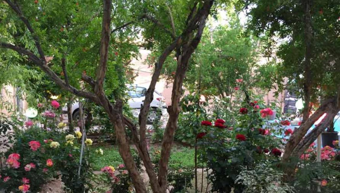 اقامتگاه بوم گردی دربست ماه بوم در ماهان