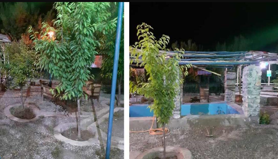 اقامتگاه بوم گردی چهار فصل در کنگاور