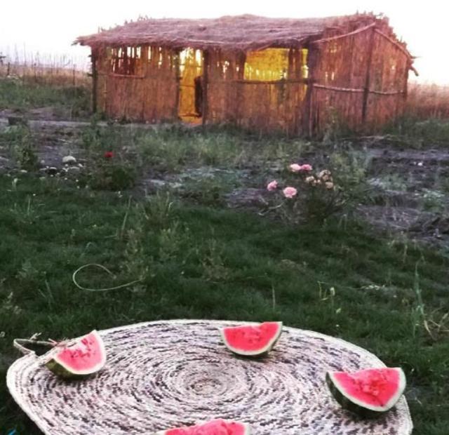 اقامتگاه بوم گردی آلامتو در دره شهر