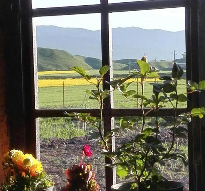 اقامتگاه بوم گردی آلامتو در دره شهر