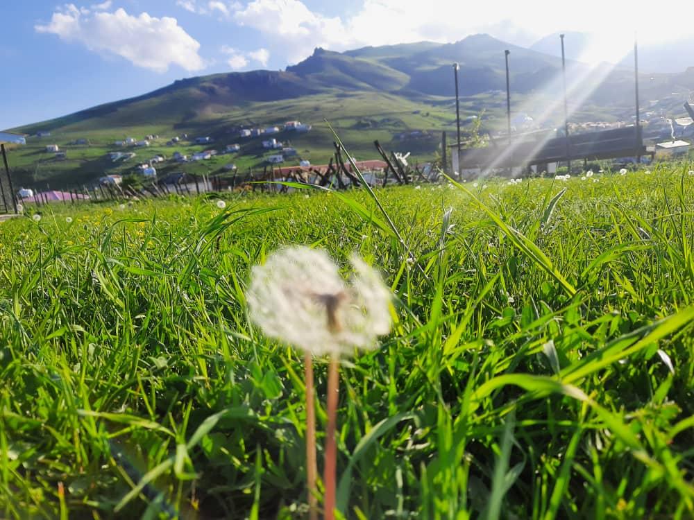 کلبه چوبی تالش درییلاق سوباتان چشم انداز زیبا