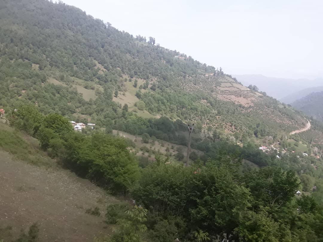 ویلای تراس دار با ویو جنگل و ابر ومه