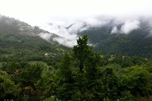 ویلای تراس دار با ویو جنگل و ابر ومه