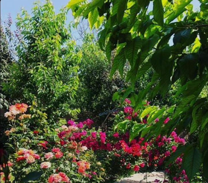 اقامتگاه بوم گردی میشاند در مرند