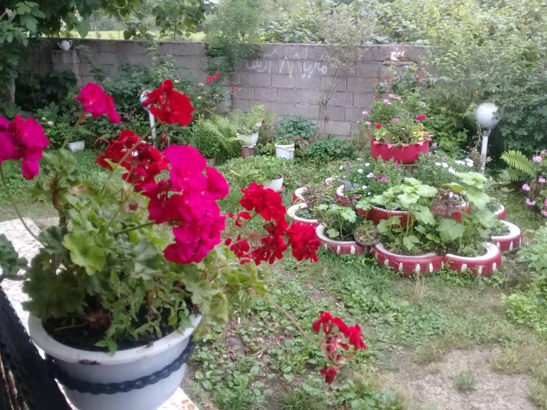 اجاره خانه باغ گلها در اسالم
