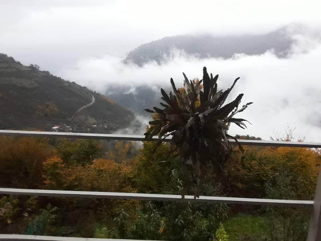 ویلای تراس دار با ویو جنگل و ابر ومه