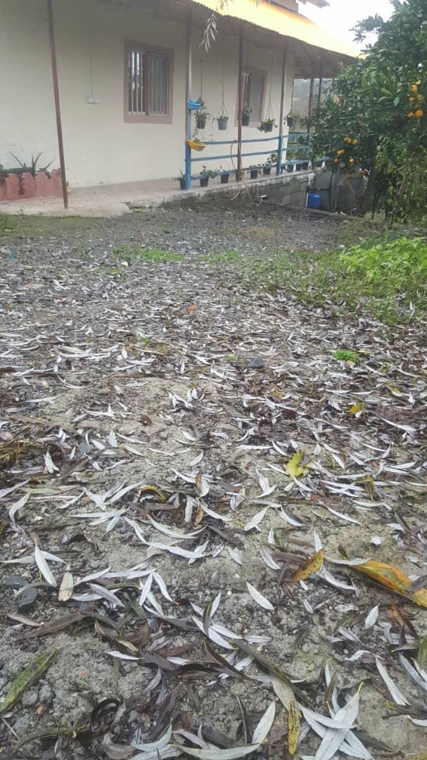 اجاره سوئیت در روستای بازنشین رودسر