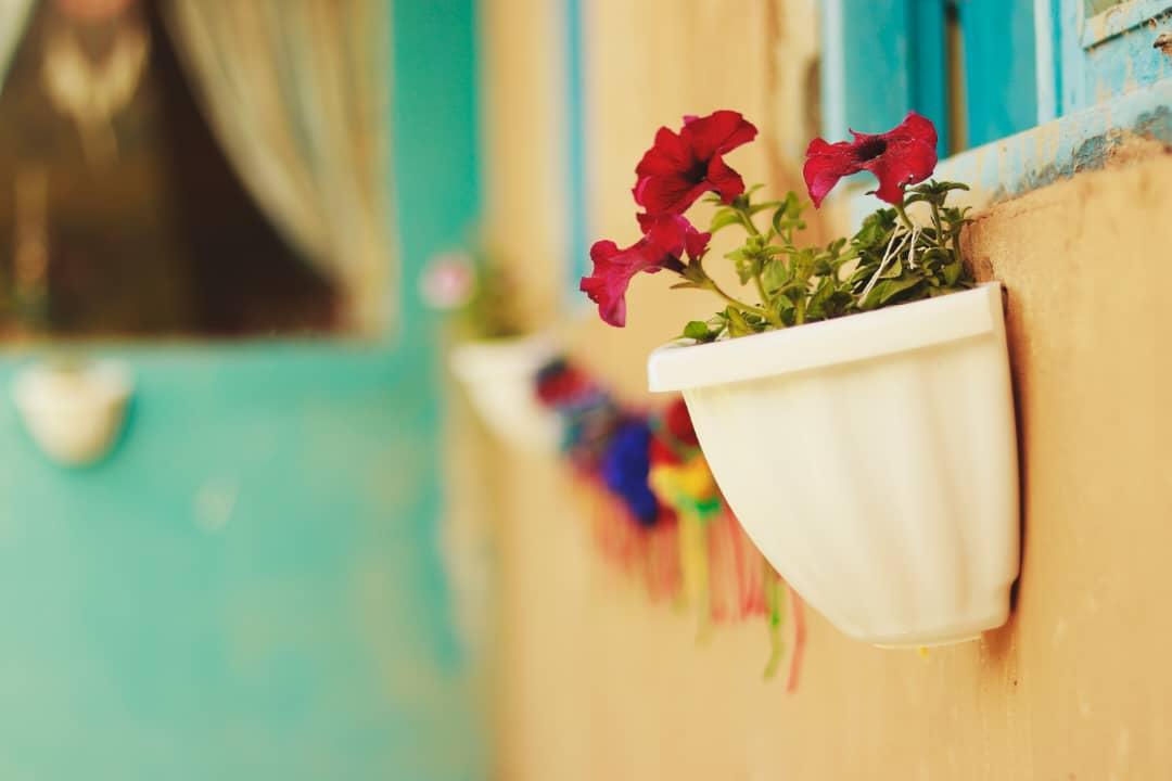 اقامتگاه بوم گردی مامن در لنگرود