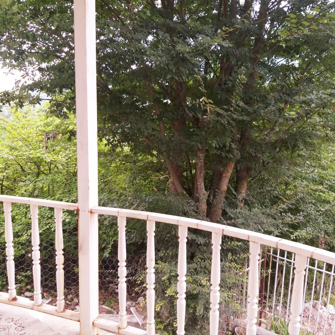 اجاره روزانه ویلا جنگلی در روستای لوکال چلی